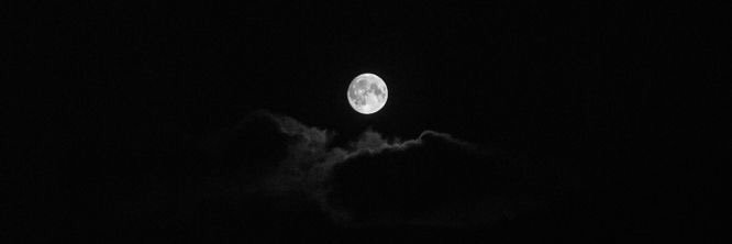 Jack Russell | Parody banner