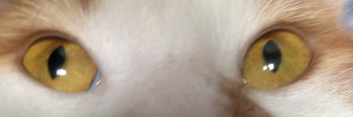 BradjaminB's profile banner image
