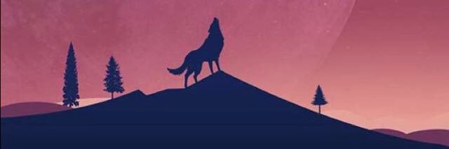 yassr89's profile banner image