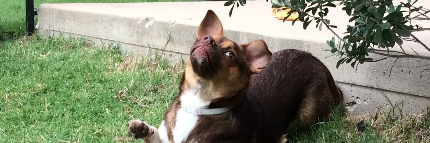 minhbphan's profile banner image