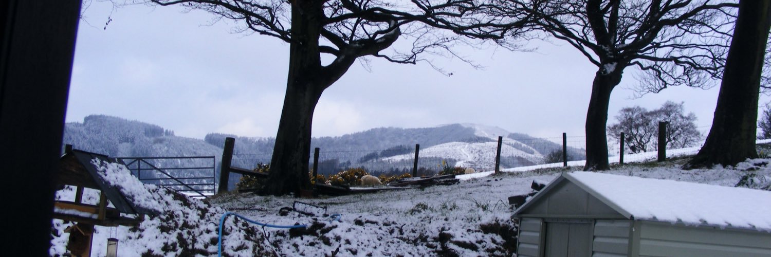 jndavid490's profile banner image