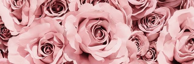 BryonyPhillips's profile banner image