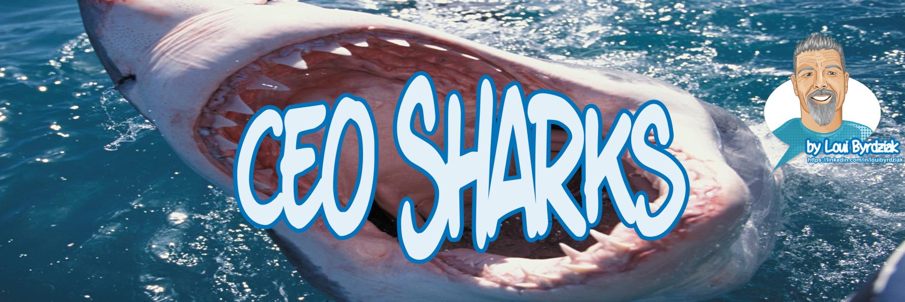 ceosharks's profile banner image