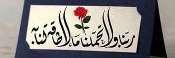 alaamaghari's profile banner image
