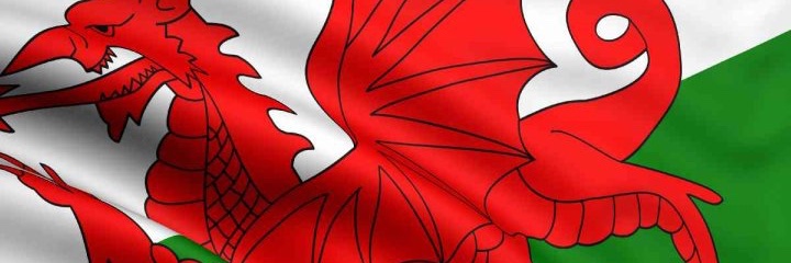 Black Dog 🏴󠁧󠁢󠁷󠁬󠁳󠁿 🇬🇧 🇪🇺's banner