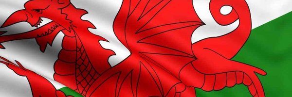 hotwings100 Profile Banner