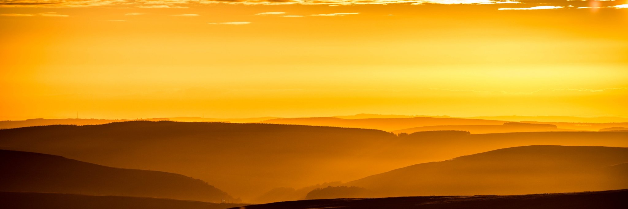 loriot_jaune's profile banner image