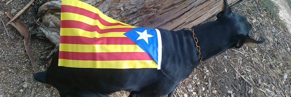 MaxLopez84's profile banner image