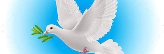 pir_obaid's profile banner image
