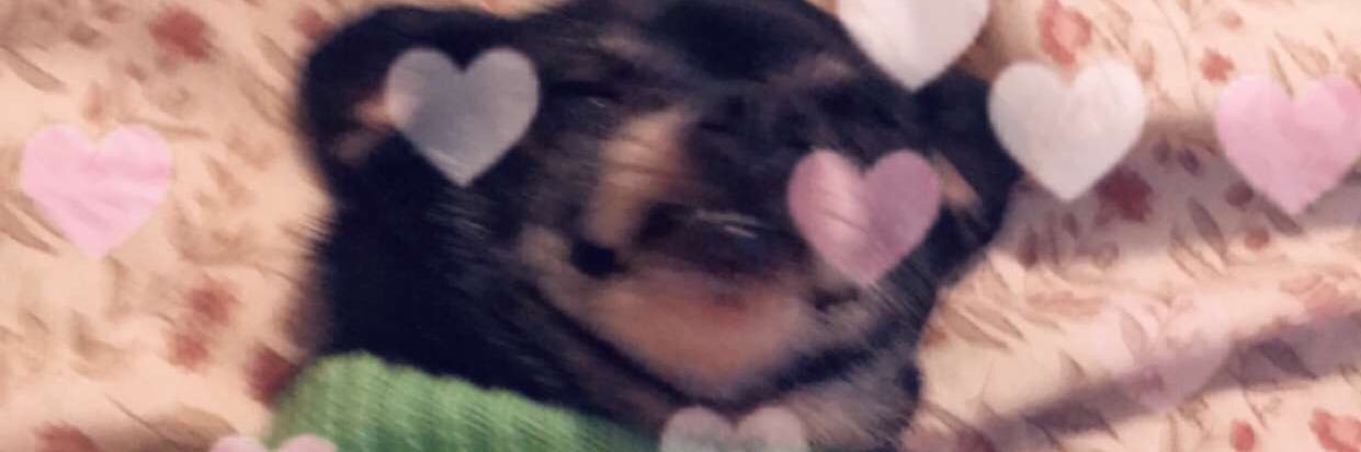 BitsWeems's profile banner image