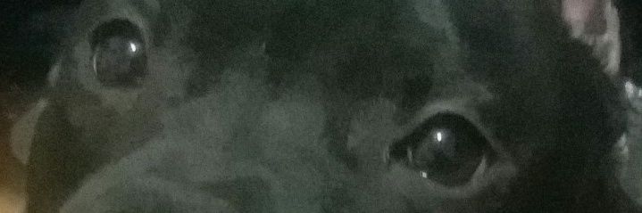 Zman580's profile banner image