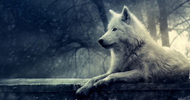 JorgeKingDesign's profile banner image