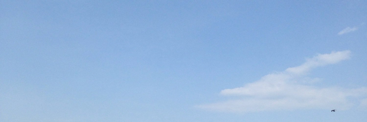 𝒔𝒘𝒆𝒆𝒕𝒚 𓂃𓏲🌿𓂃 banner