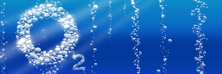 Tinker bell 🧚 banner