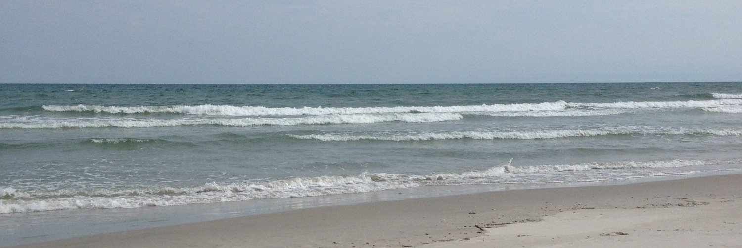 FMS Principal banner