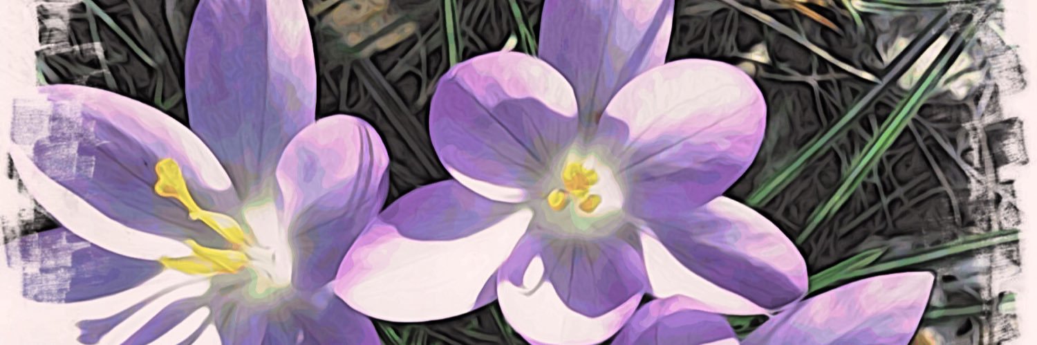 TANickMA's profile banner image