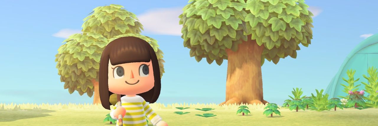 LizSteeleDesign's profile banner image
