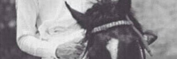 YSygg's profile banner image
