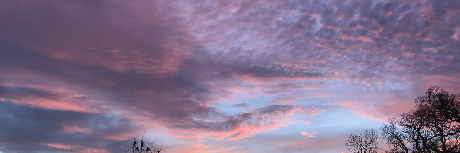 julia_thomps0n's profile banner image