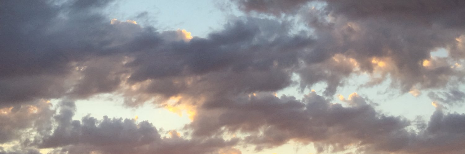 pauskull's profile banner image