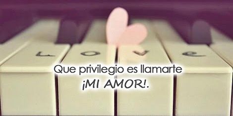 Fatima_biersak's profile banner image