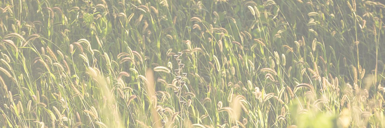 SaukHealth's profile banner image