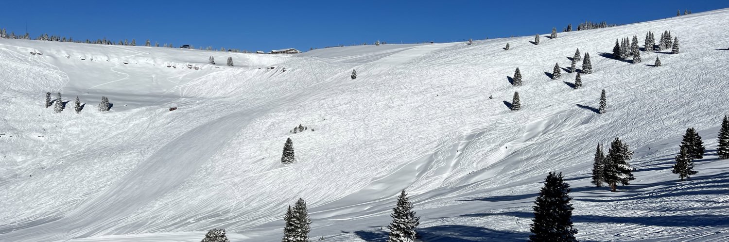 trevor steinbach banner