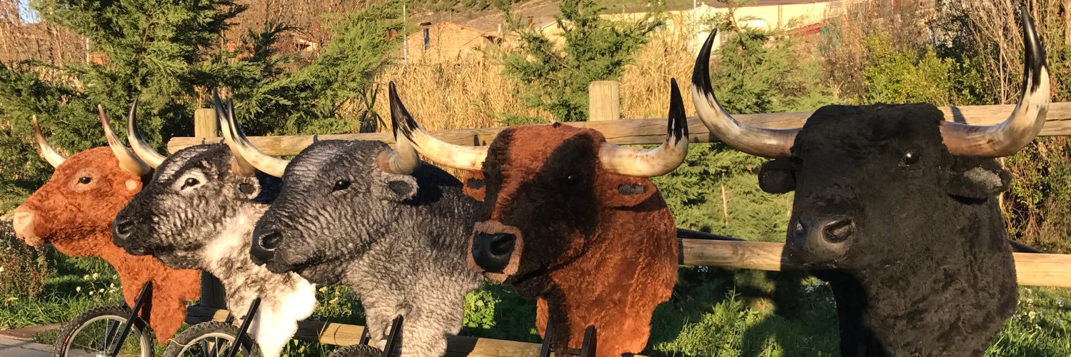 ElTorico_'s profile banner image