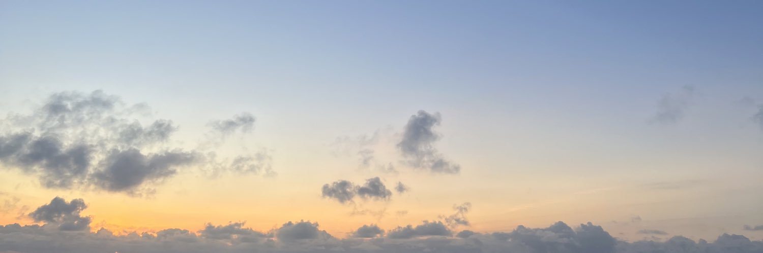 buuuuski's profile banner image