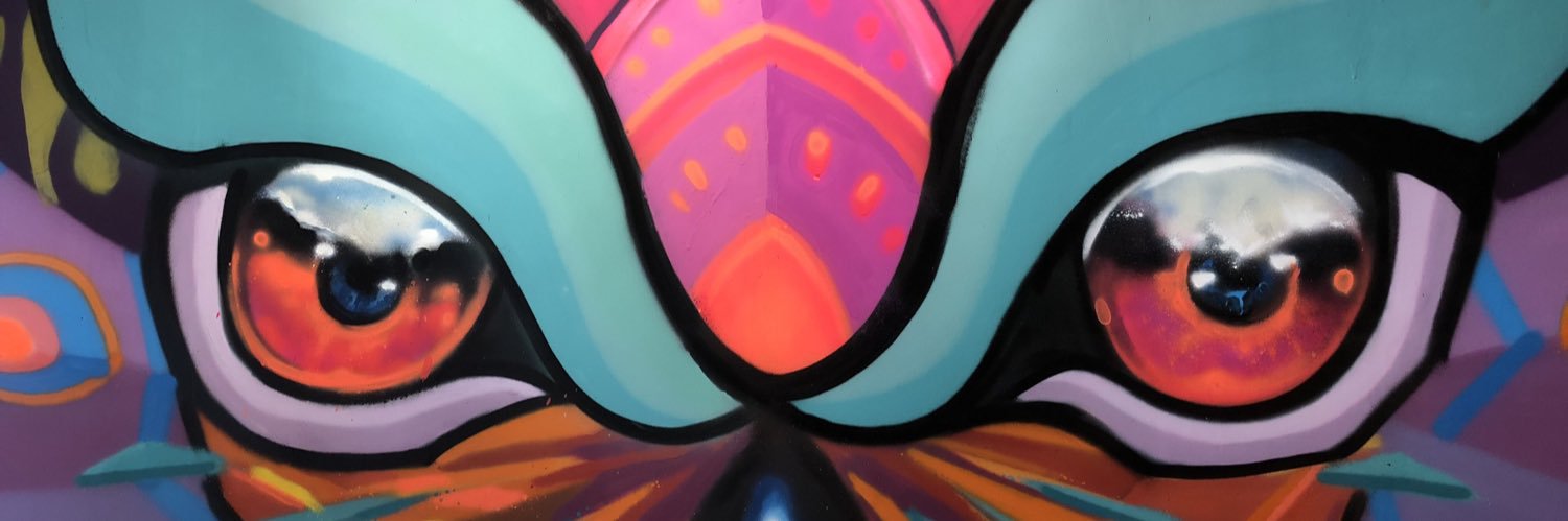 selamkrall's profile banner image