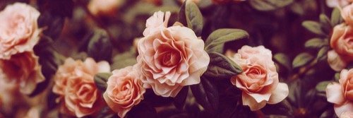 LyviRPGAH's profile banner image