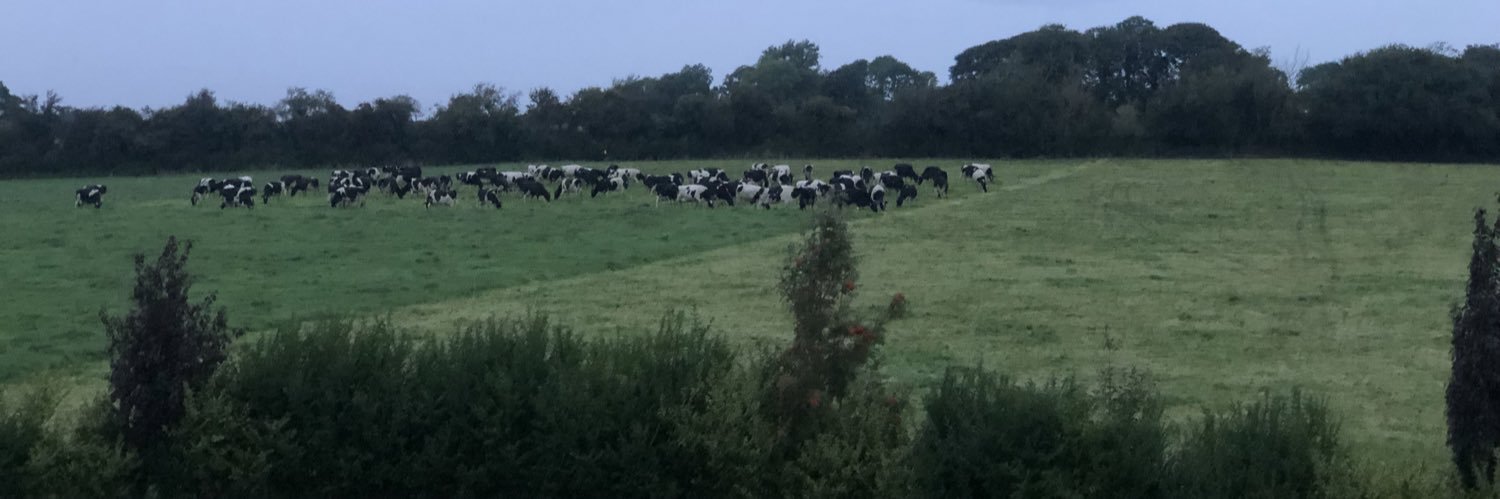 Thomas Reilly banner