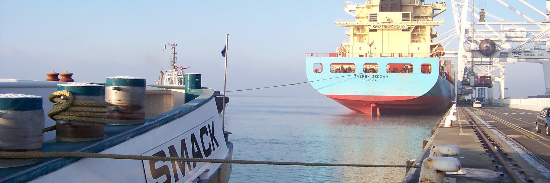 telemachac's profile banner image