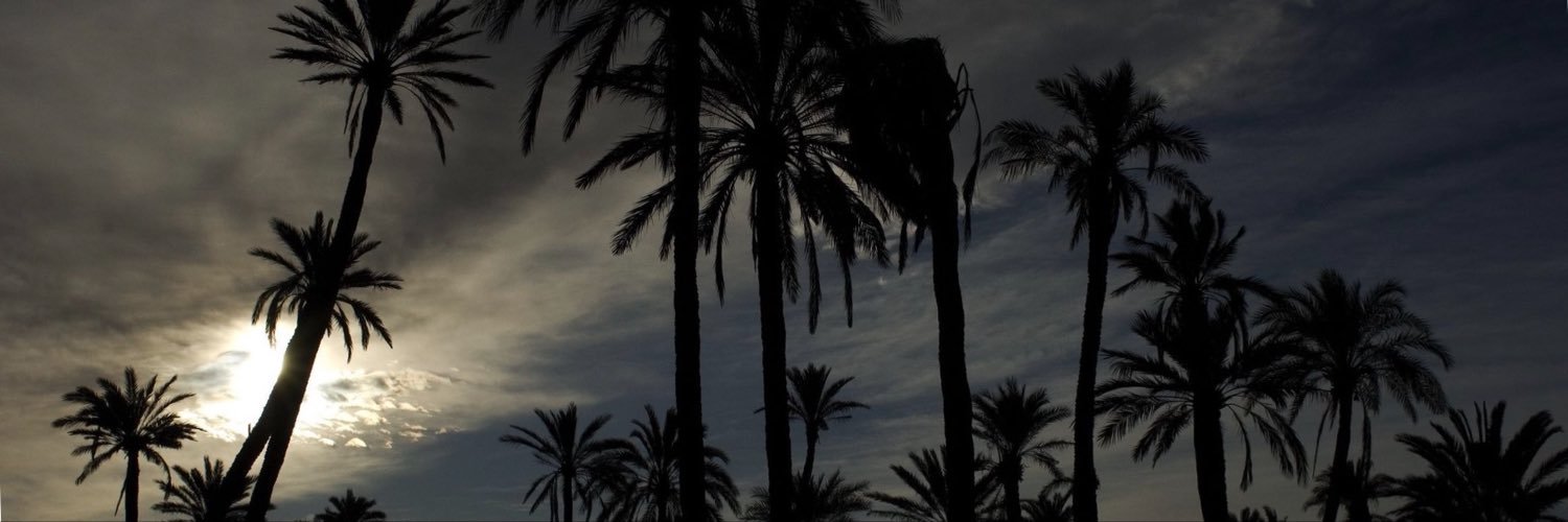 Aralangri's profile banner image