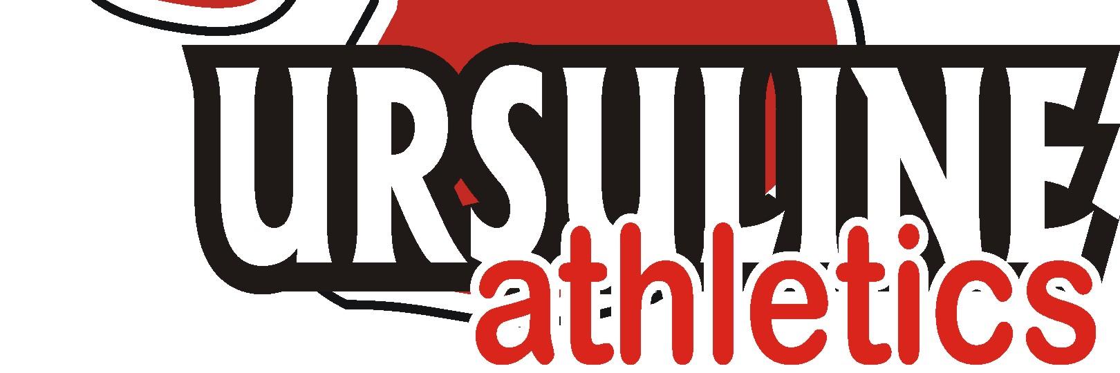 UAstllacrosse's profile banner image