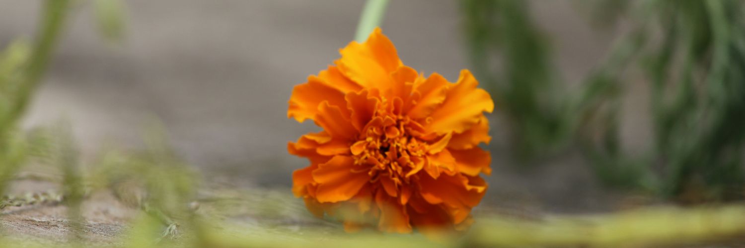 dhy318's profile banner image