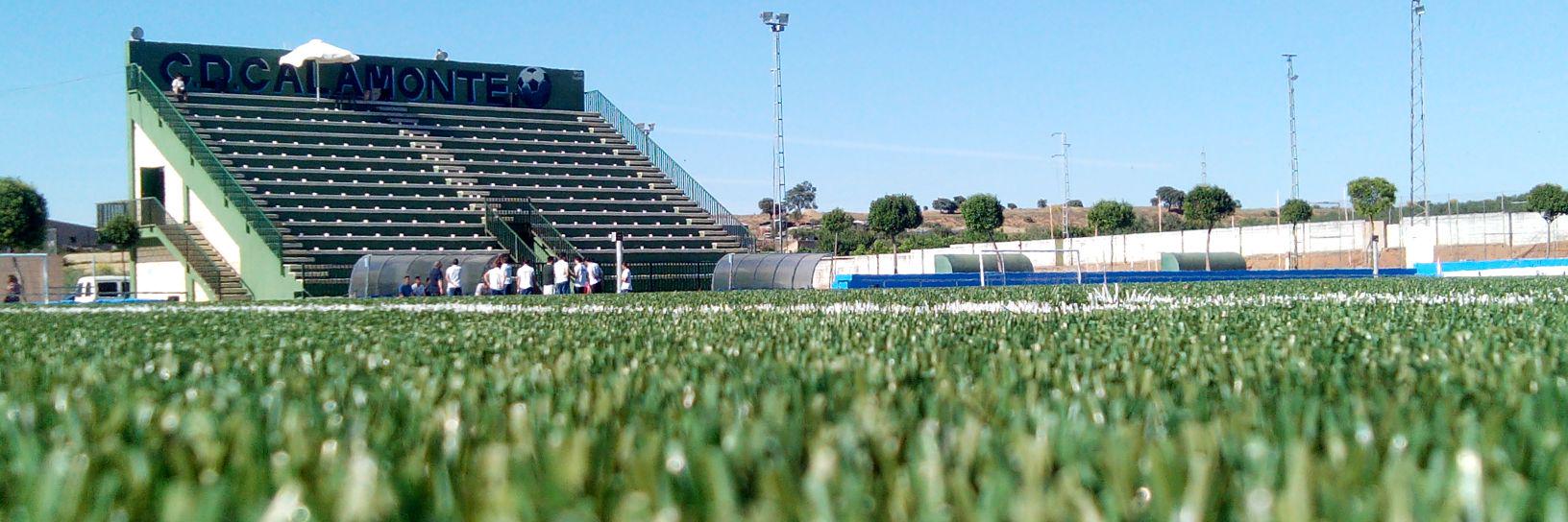 C.D. Calamonte banner