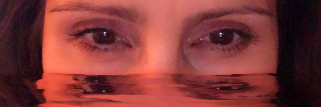 celeste j avedikian banner