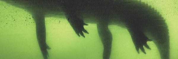 papersounds Profile Banner