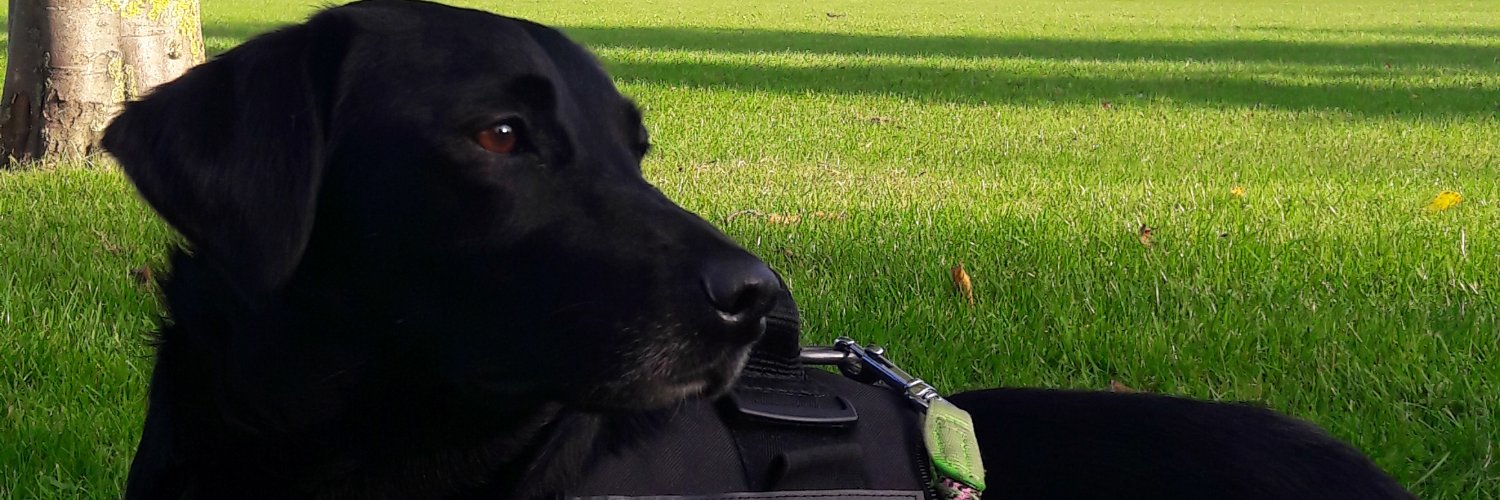 SunshineEmz's profile banner image