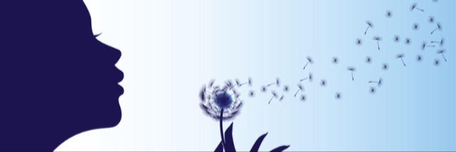 Mordri2003's profile banner image