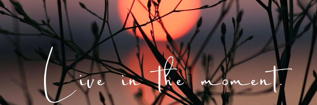 Arienne (she/her) banner