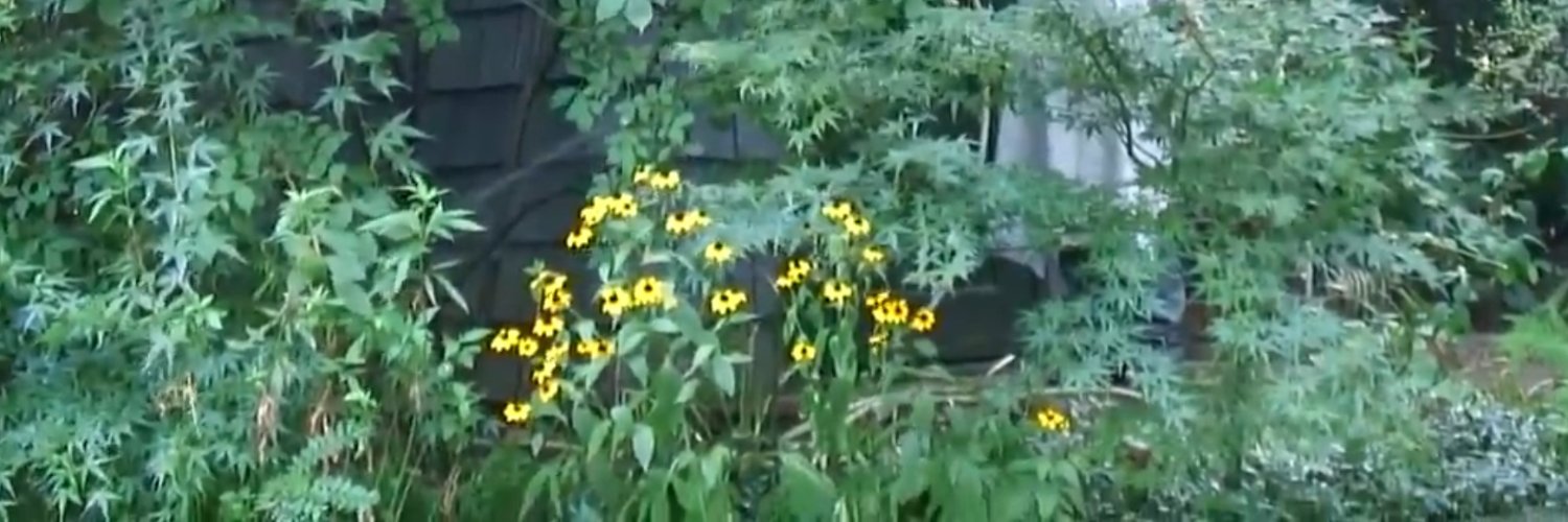 elaine lee / ayoitselaine.bsky.social banner