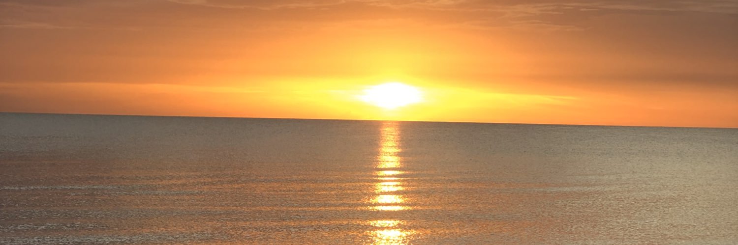robynathomas's profile banner image