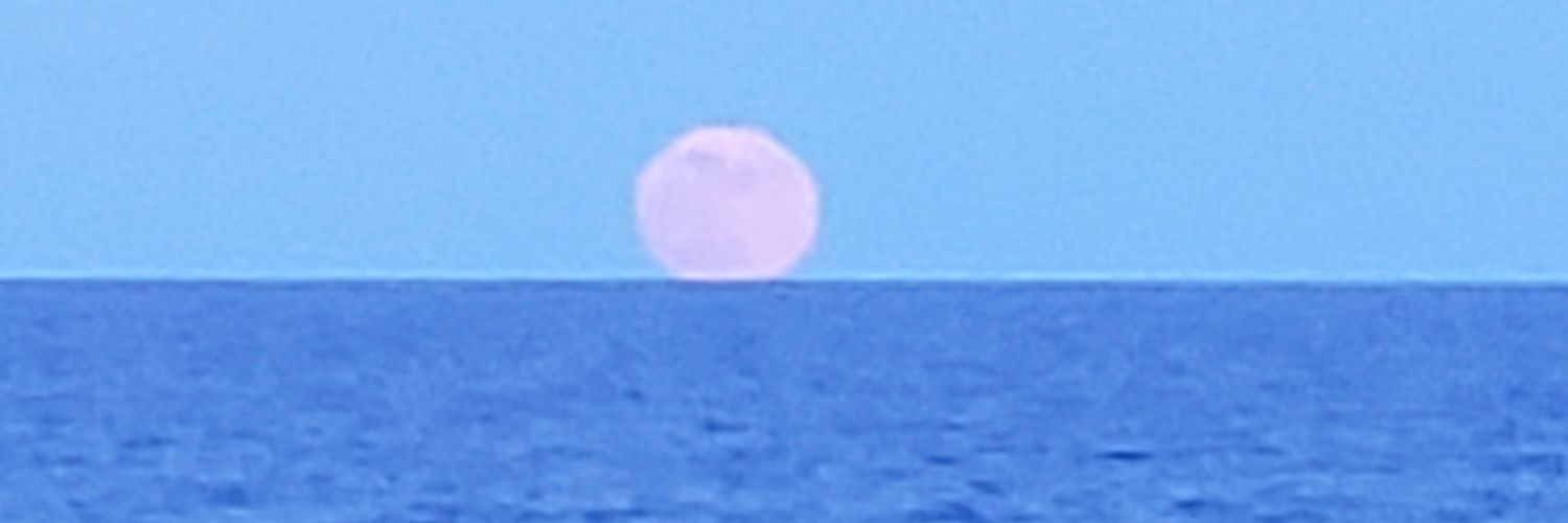 jenmcgee4's profile banner image
