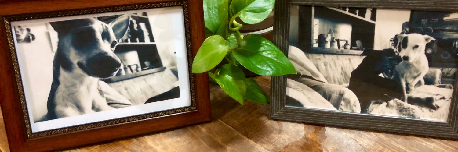 🅱️eto 🅰️vila ® banner