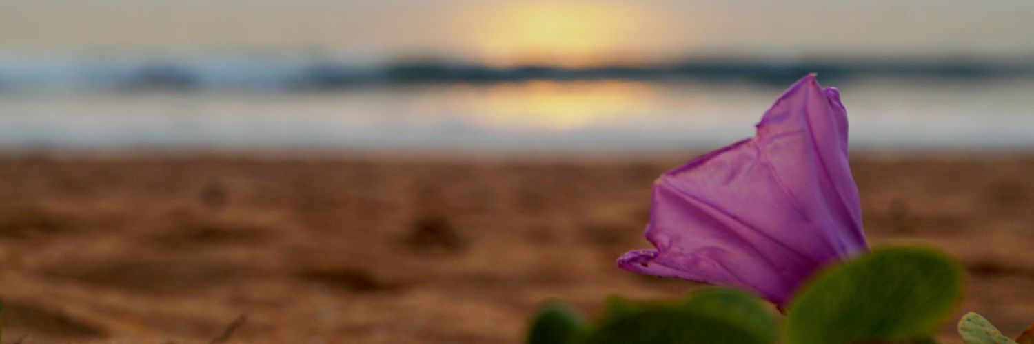 AvAshiq's profile banner image