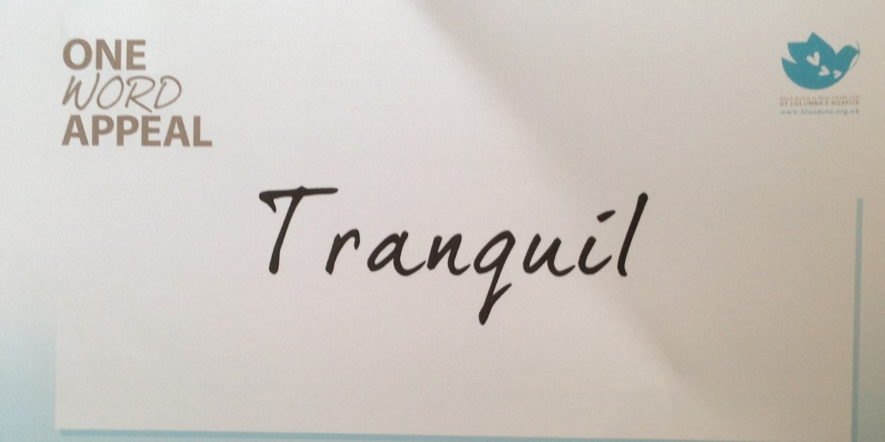 Kelly Tulloch banner