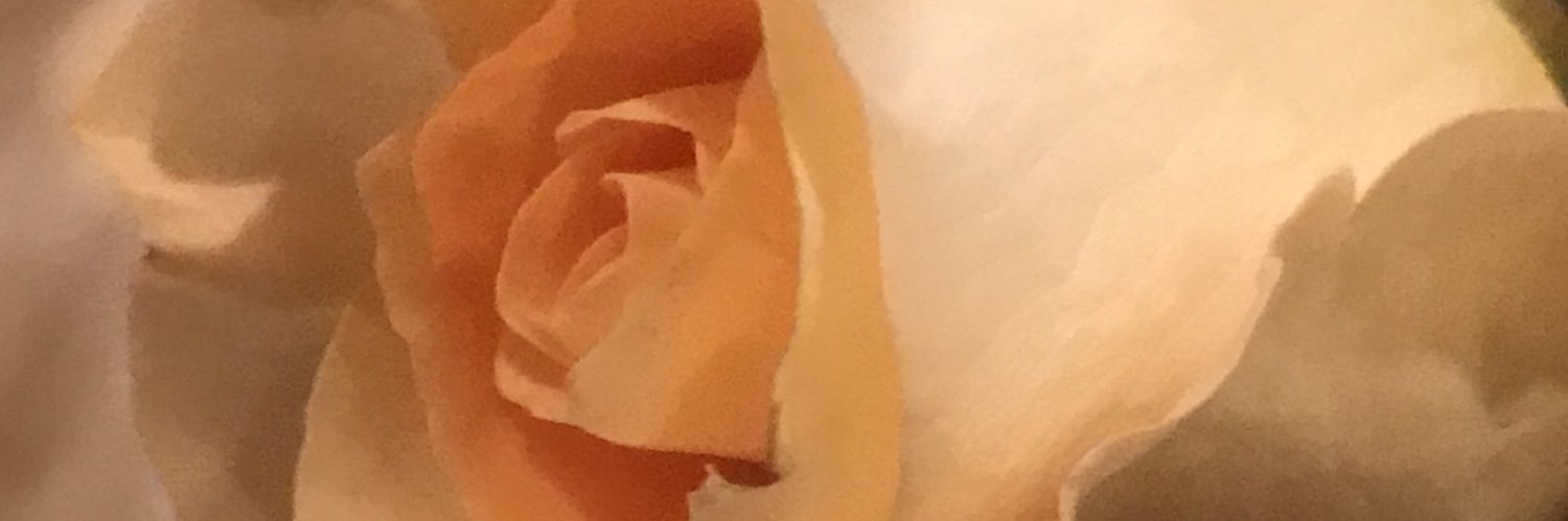 fieljl's profile banner image