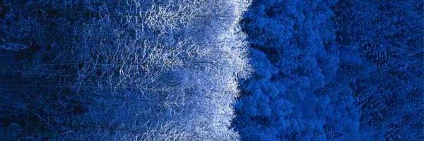 siddhanth096's profile banner image